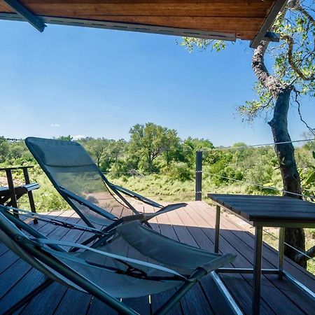 Greenfire Game Lodge Balule Game Reserve Esterno foto