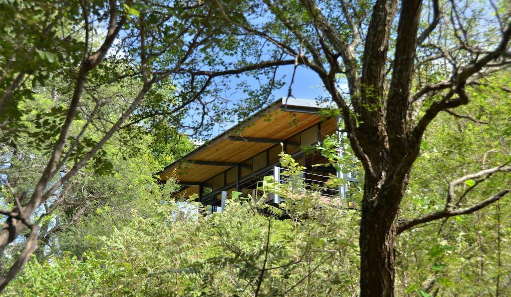 Greenfire Game Lodge Balule Game Reserve Esterno foto