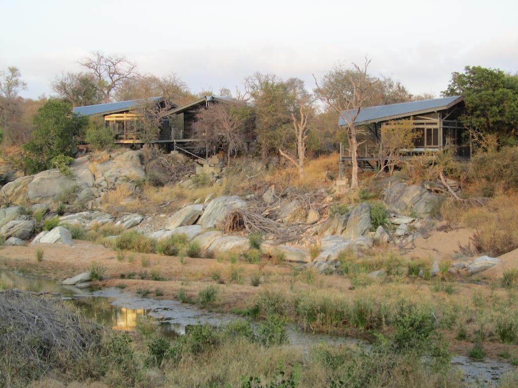Greenfire Game Lodge Balule Game Reserve Esterno foto