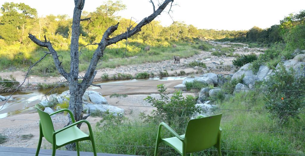 Greenfire Game Lodge Balule Game Reserve Esterno foto