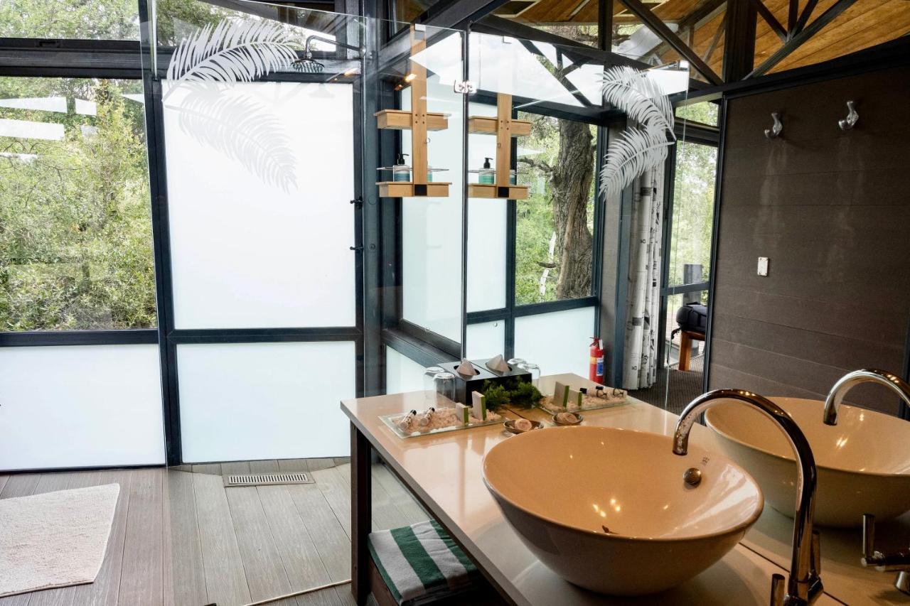Greenfire Game Lodge Balule Game Reserve Esterno foto