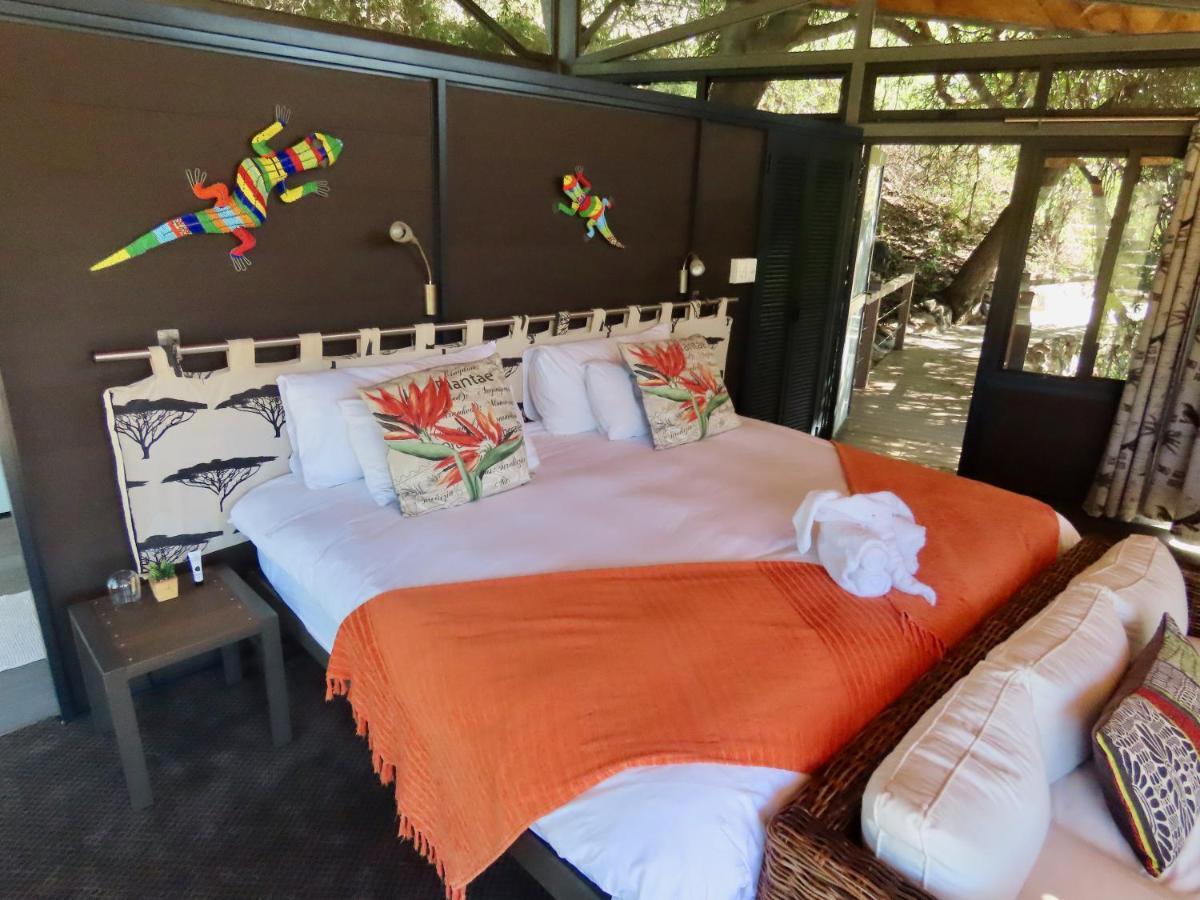 Greenfire Game Lodge Balule Game Reserve Esterno foto