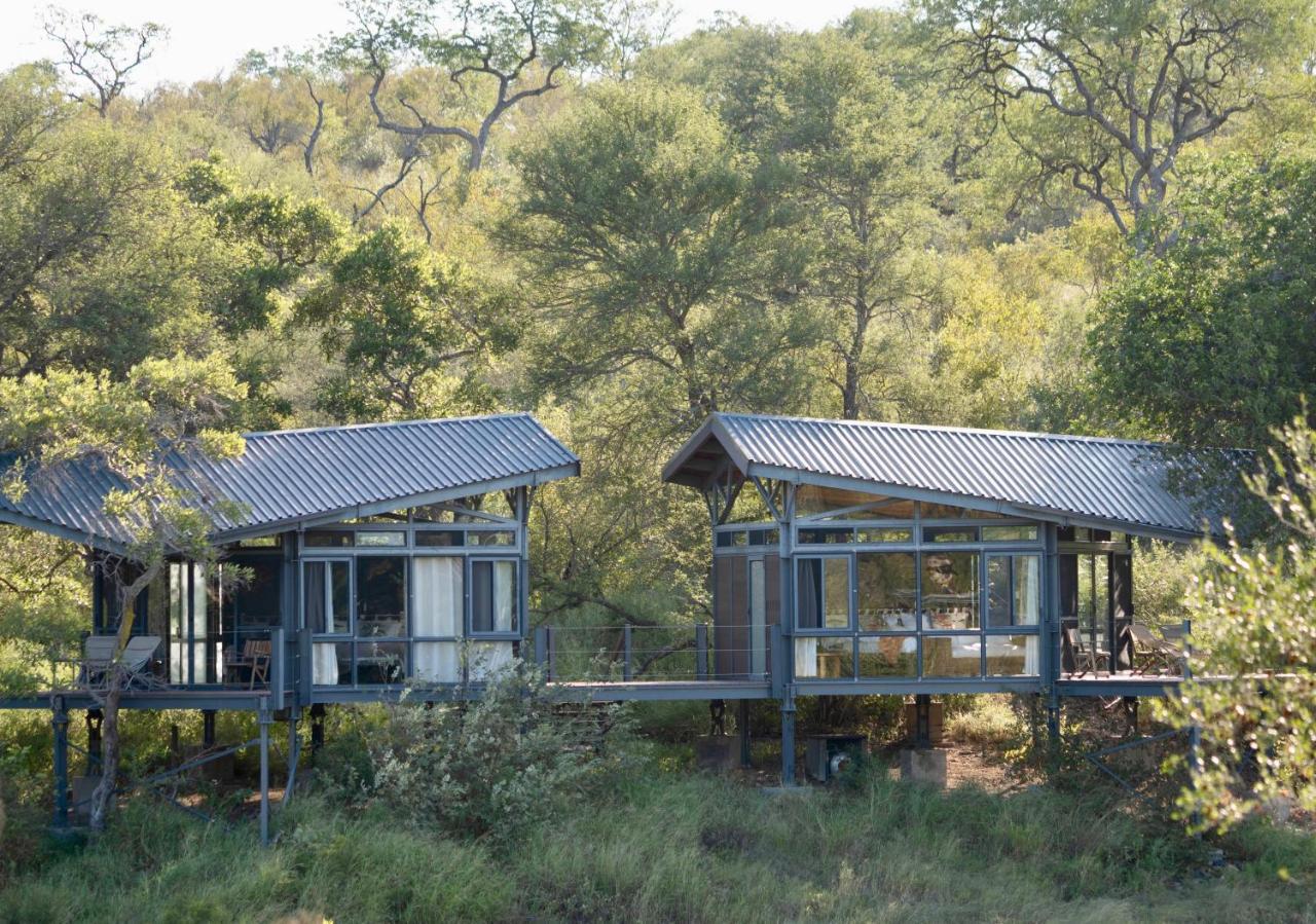 Greenfire Game Lodge Balule Game Reserve Esterno foto