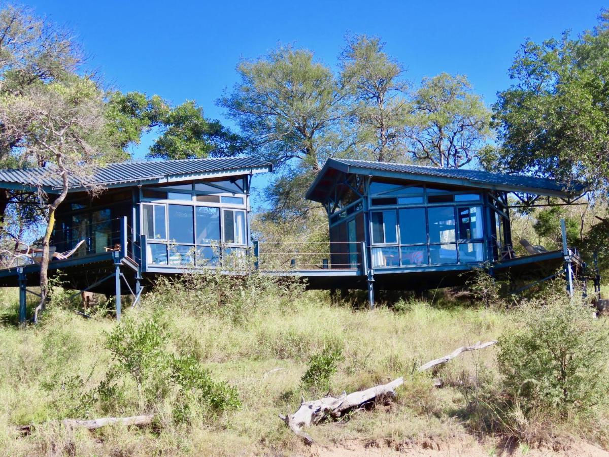 Greenfire Game Lodge Balule Game Reserve Esterno foto