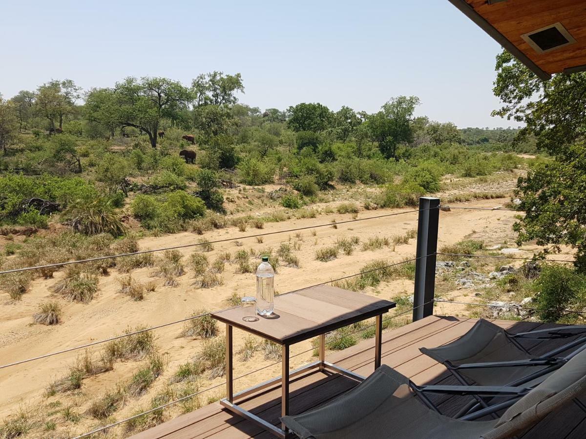 Greenfire Game Lodge Balule Game Reserve Esterno foto