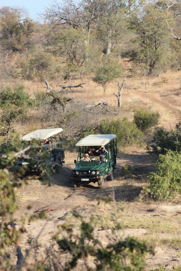 Greenfire Game Lodge Balule Game Reserve Esterno foto