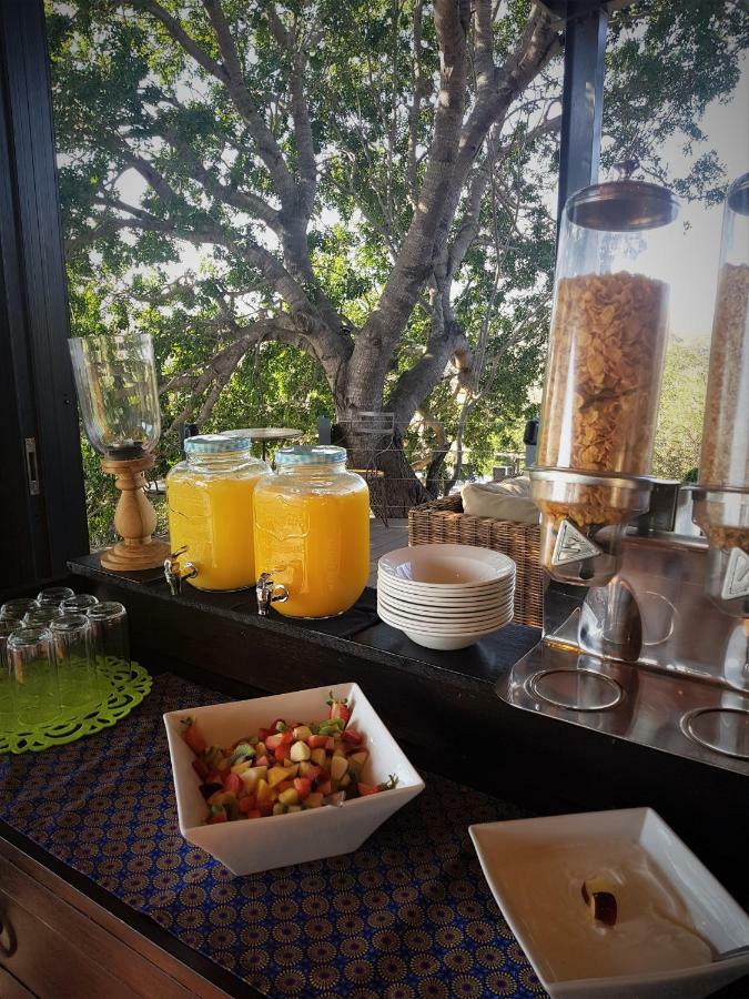 Greenfire Game Lodge Balule Game Reserve Esterno foto
